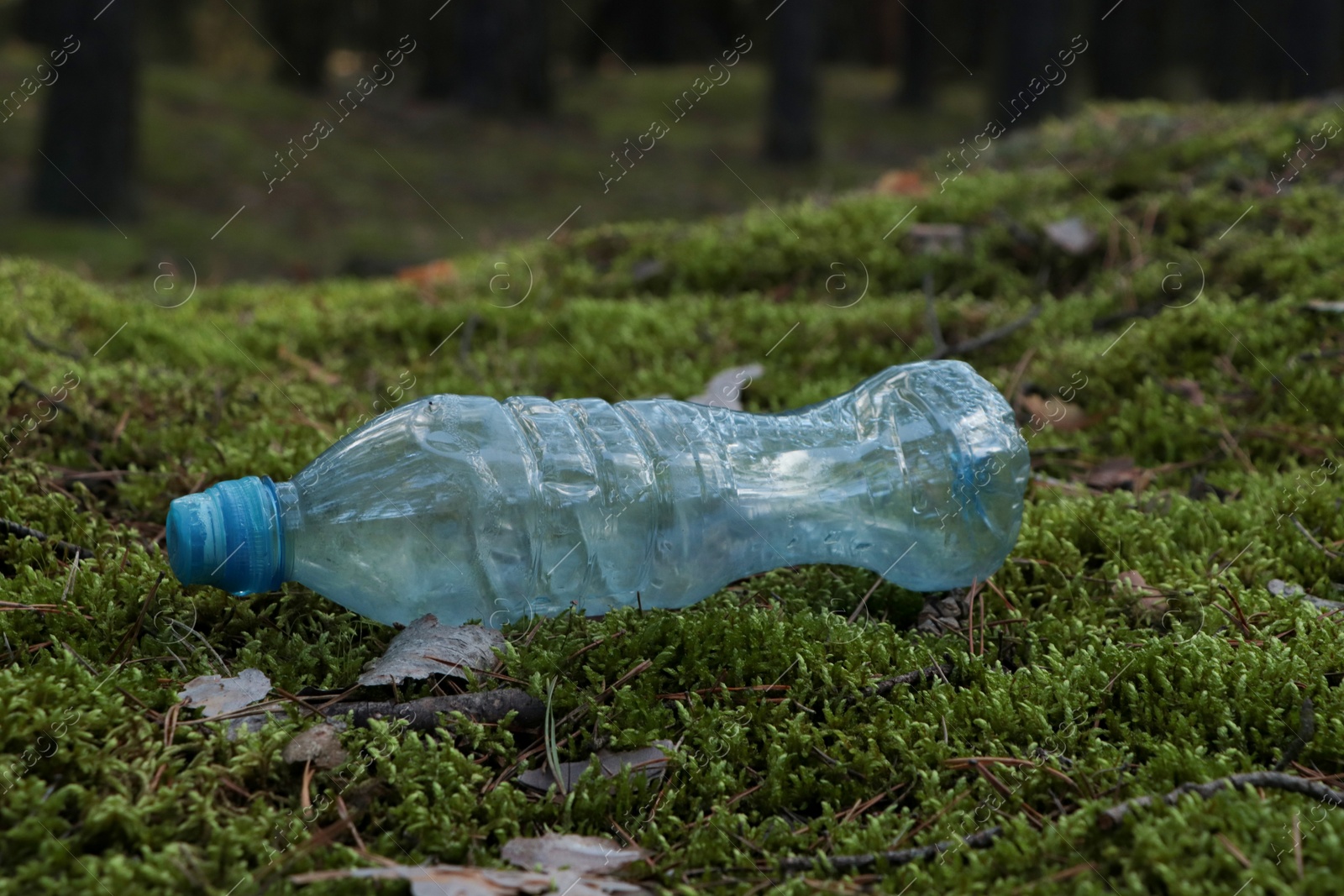 Photo of Used plastic bottle on grass in forest. Recycling problem