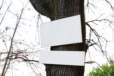 Photo of Blank white boards attached to tree trunk outdoors. Space for text