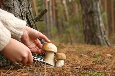 Photo of Woman cutting porcini mushroom with knife in forest, closeup
