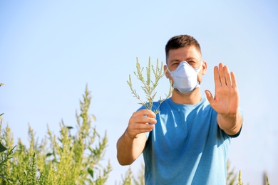 Photo of Man with ragweed branch suffering from allergy outdoors, focus on hands