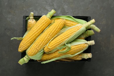 Wooden crate with tasty fresh corn cobs on grey table, top view
