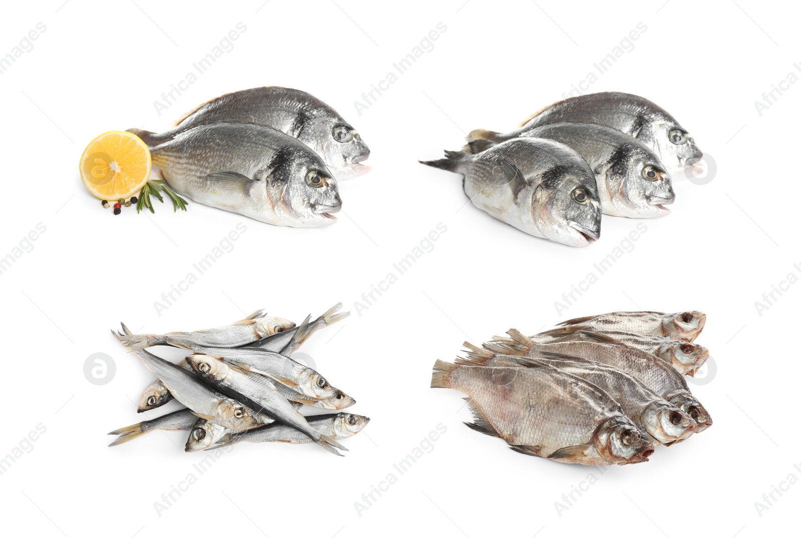 Image of Set with fresh raw and dried fish on white background