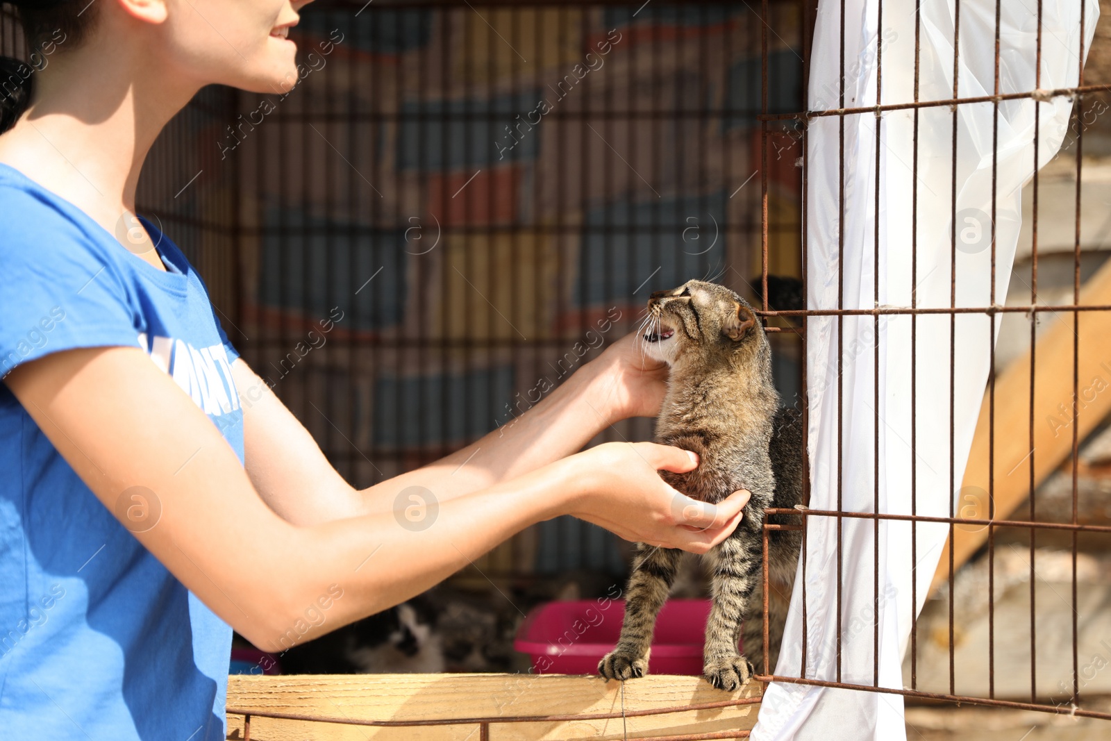 Photo of Woman stroking homeless cat in animal shelter, closeup. Concept of volunteering