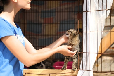 Photo of Woman stroking homeless cat in animal shelter, closeup. Concept of volunteering