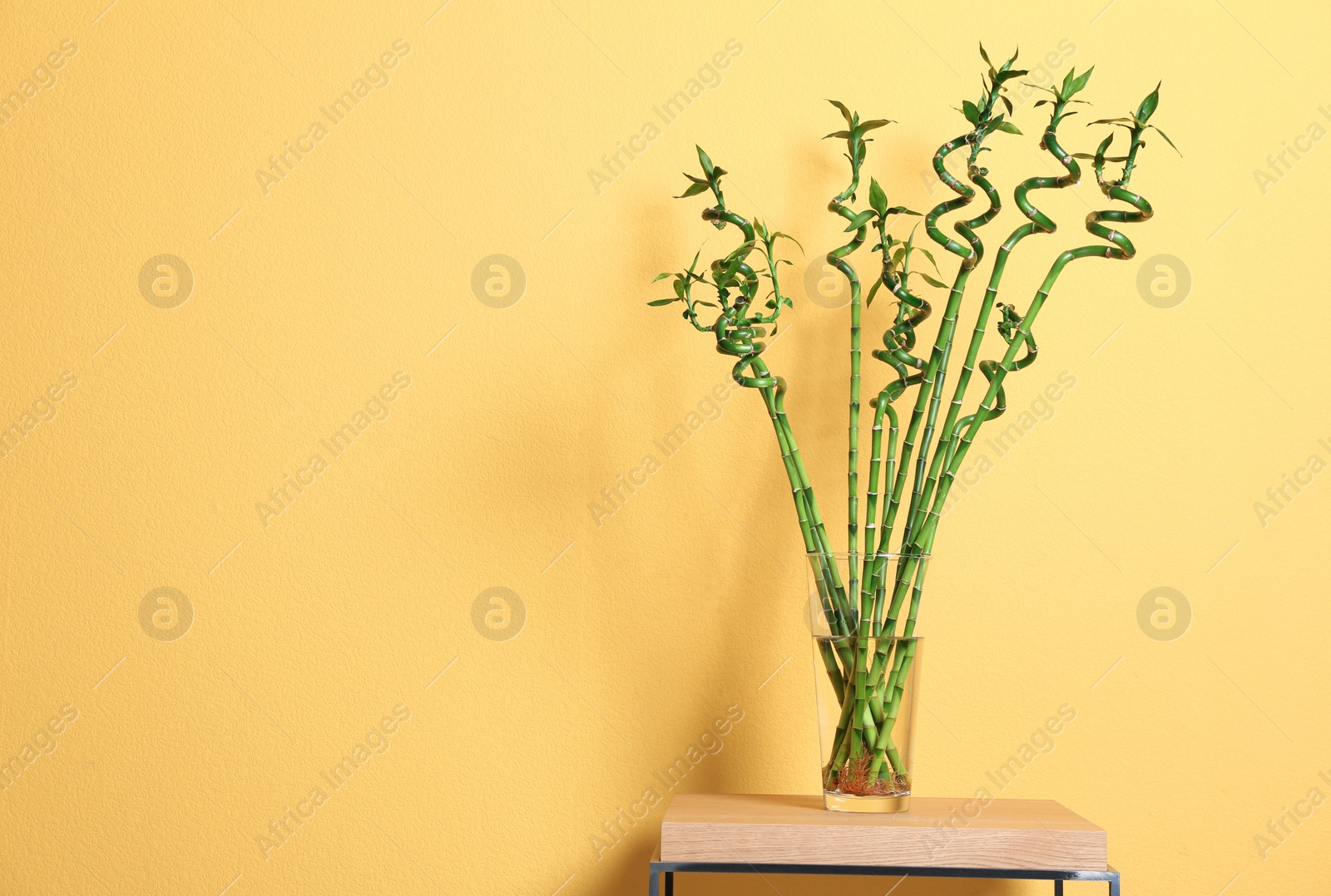 Photo of Vase with green bamboo on table against color background. Space for text