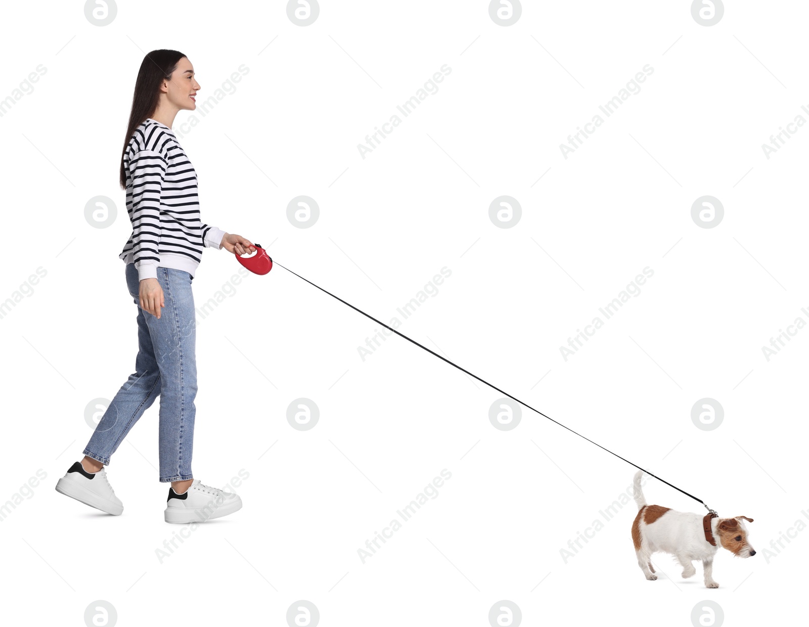 Image of Smiling woman walking with dog on white background