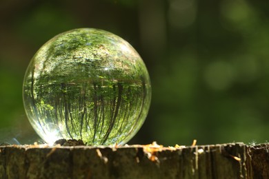 Photo of Green trees outdoors, overturned reflection. Crystal ball on stump in forest. Space for text
