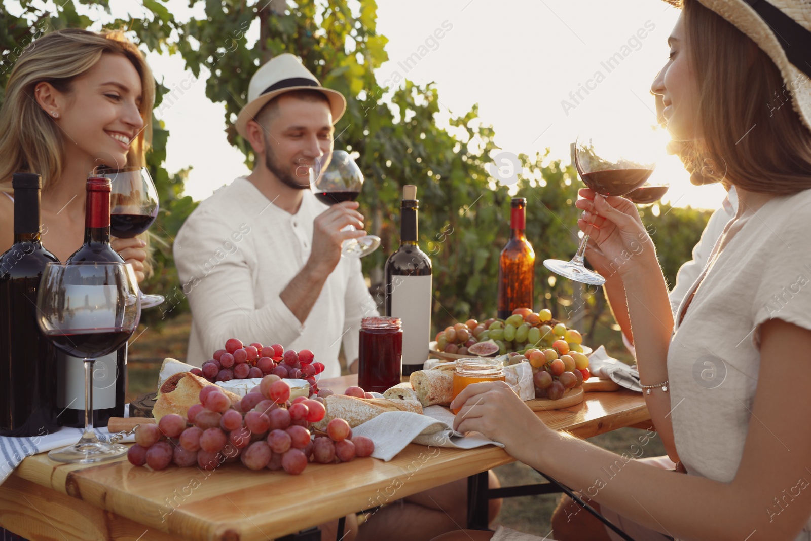 Photo of Friends holding glasses of wine and having fun in vineyard