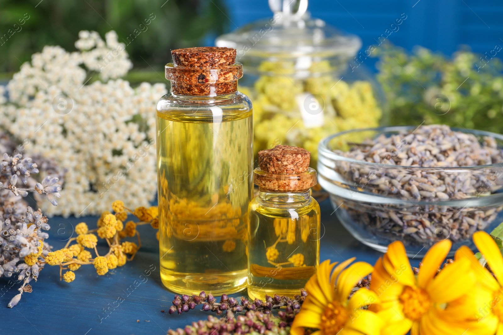 Photo of Bottles of essential oils and different herbs on blue wooden table, closeup