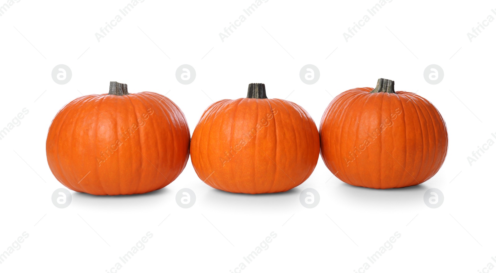 Photo of Ripe orange pumpkins isolated on white. Halloween decor