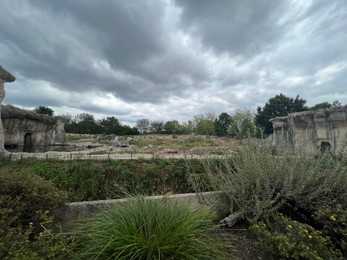 Photo of Rotterdam, Netherlands - August 27, 2022: Picturesque view of zoo enclosure with rock cliff