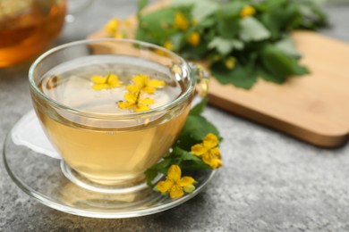 Photo of Glass cup of aromatic celandine tea and flowers on grey table, closeup. Space for text