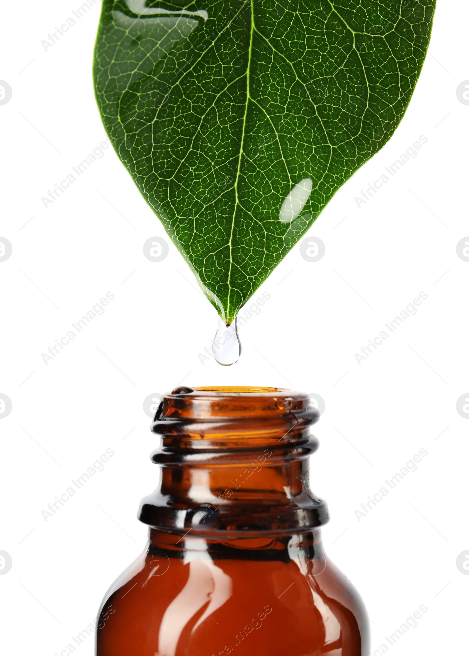 Photo of Essential oil drop falling from green leaf into glass bottle on white background, closeup