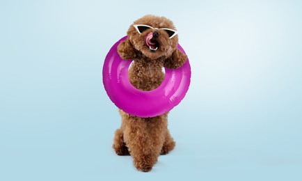 Image of Cute Maltipoo dog with stylish sunglasses and swim ring on light blue background