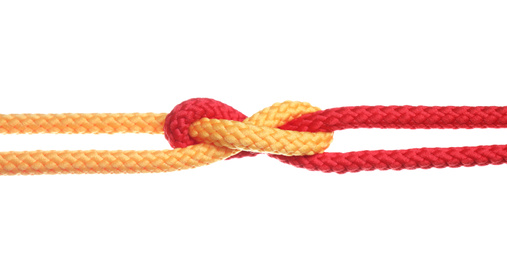 Colorful ropes tied together with knot isolated on white. Unity concept