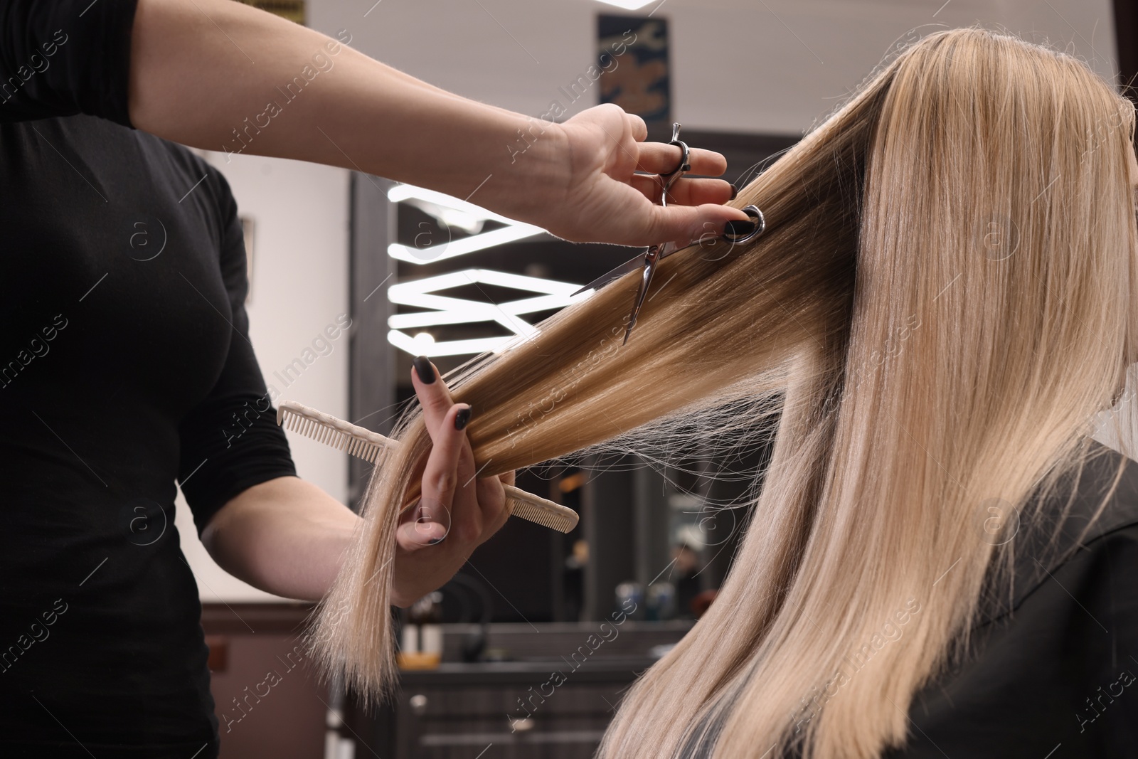 Photo of Professional hairdresser cutting woman's hair in salon, closeup