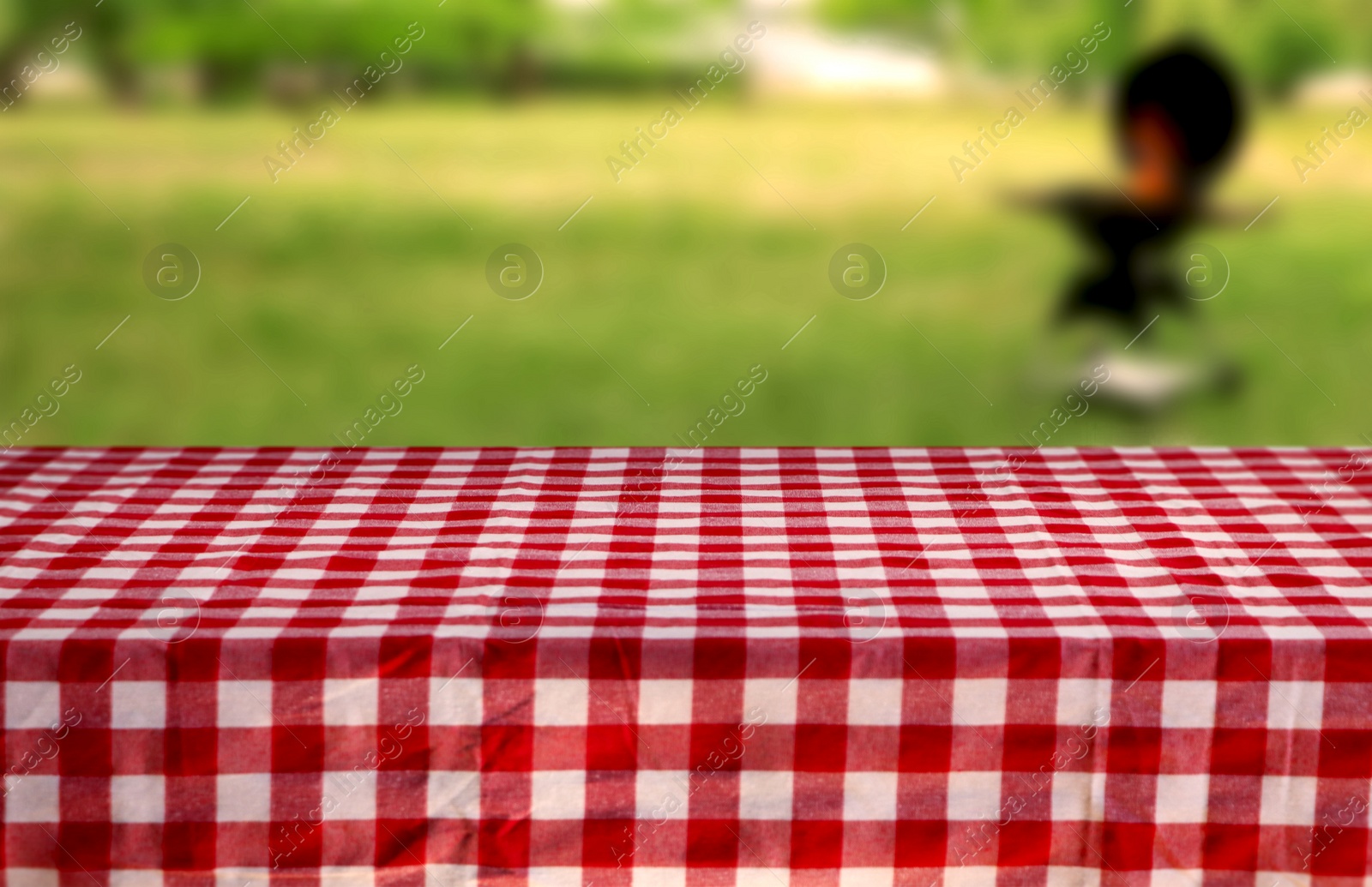 Image of Table with checkered picnic cloth outdoors on sunny day. Space for design