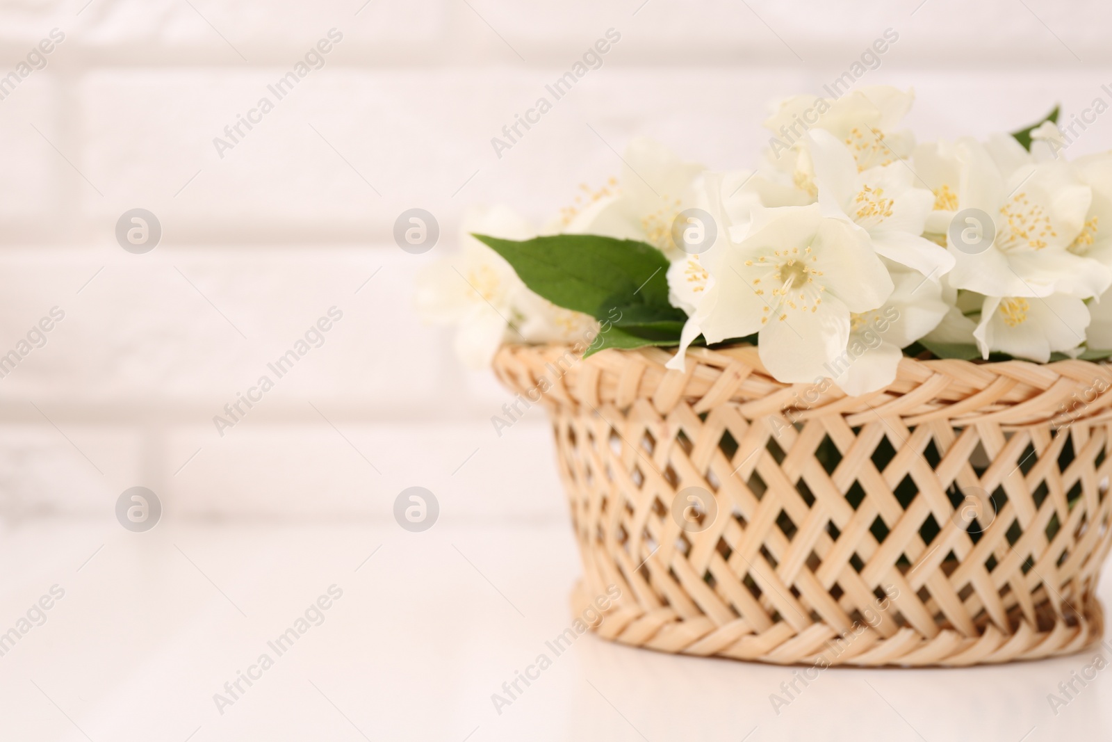Photo of Beautiful jasmine flowers in wicker basket on white table, space for text