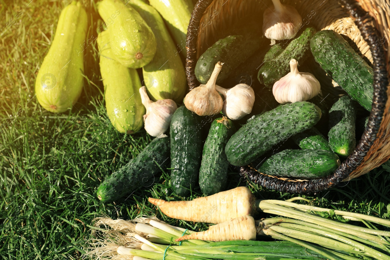 Photo of Scattered fresh ripe vegetables and wicker basket on green grass, top view