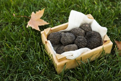 Truffles in wooden crate on green grass