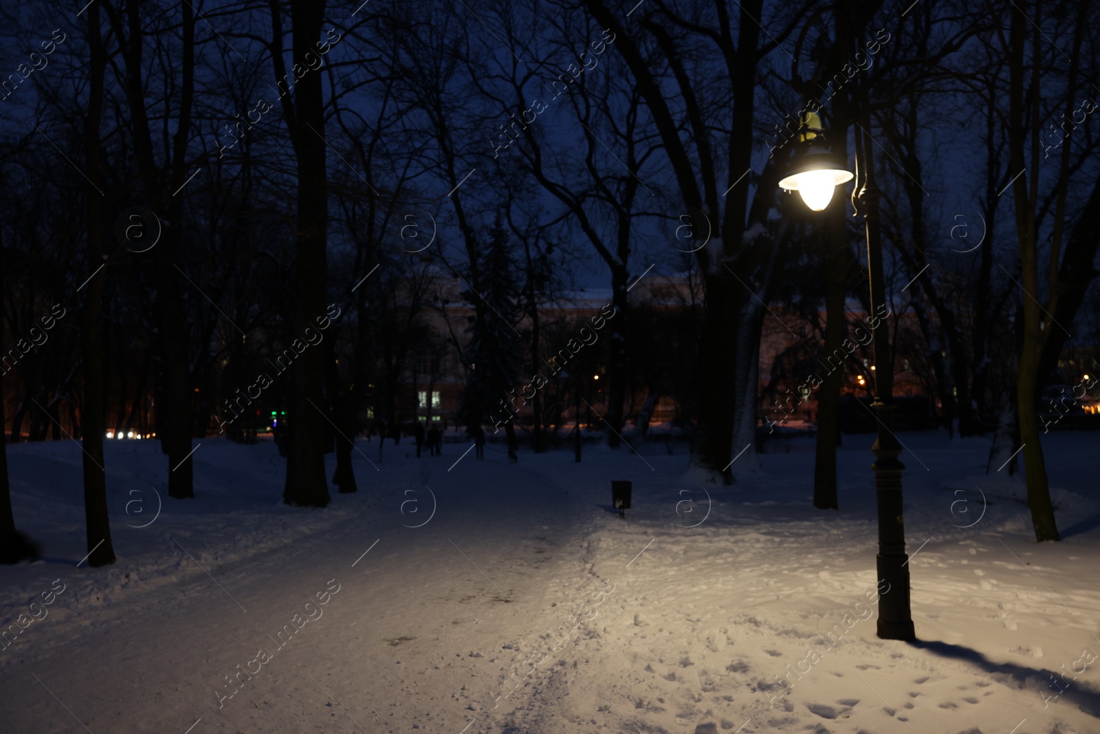 Photo of Trees, street lamp and pathway covered with snow in evening park