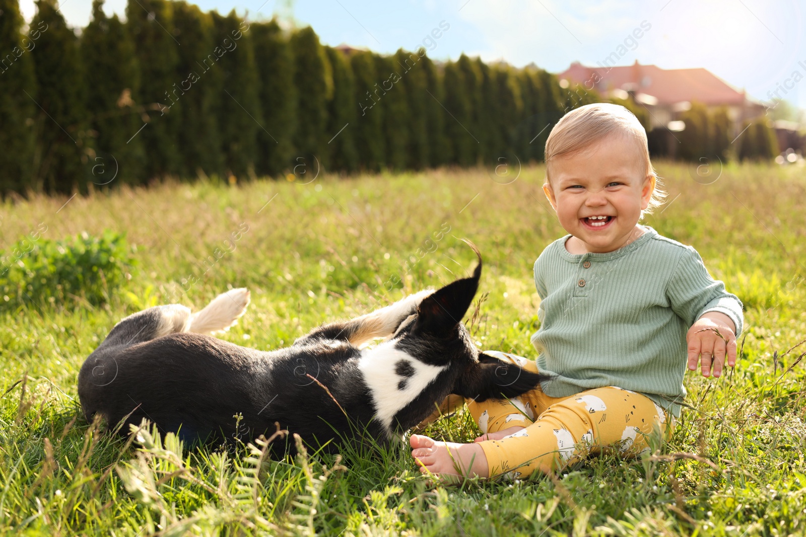 Photo of Adorable baby and furry little dog on green grass outdoors