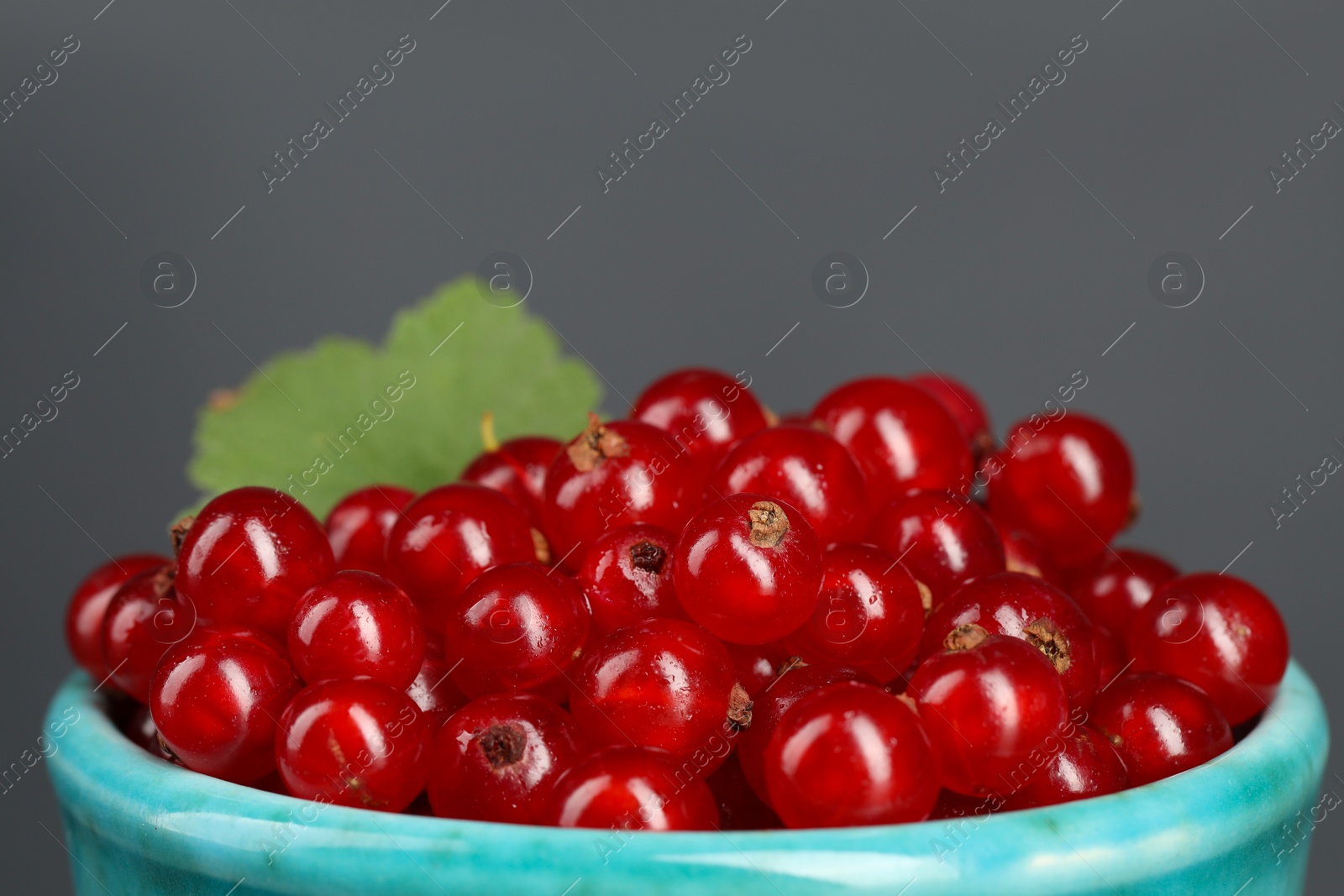 Photo of Ripe red currants on grey background, closeup