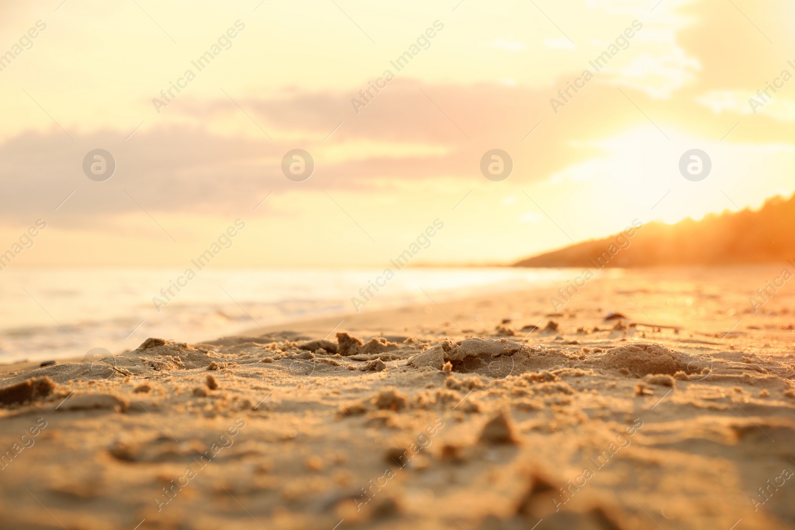 Photo of Beautiful view of sandy beach at sunset, closeup