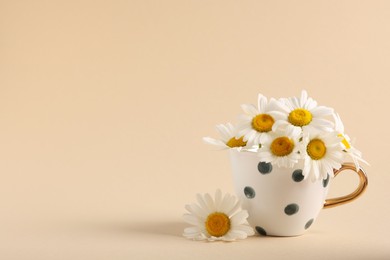 Photo of Beautiful daisies in cup on beige background, space for text