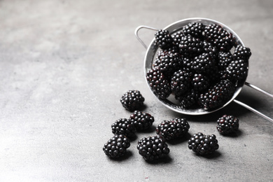 Photo of Fresh ripe blackberries and sieve on light grey table. Space for text