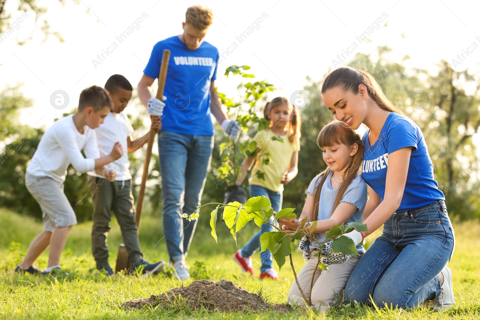 Photo of Kids planting trees with volunteers in park