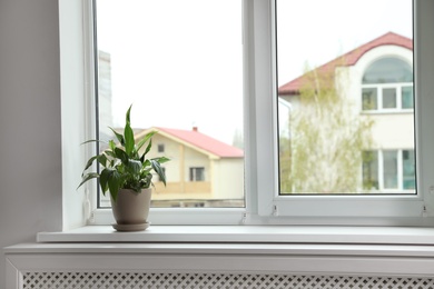 Beautiful peace lily on window sill indoors. Plants for home