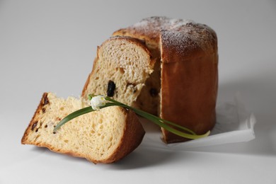 Photo of Delicious Panettone cake and beautiful flower on white background. Traditional Italian pastry