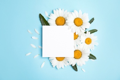 Beautiful floral composition with chamomile flowers and card on color background, top view