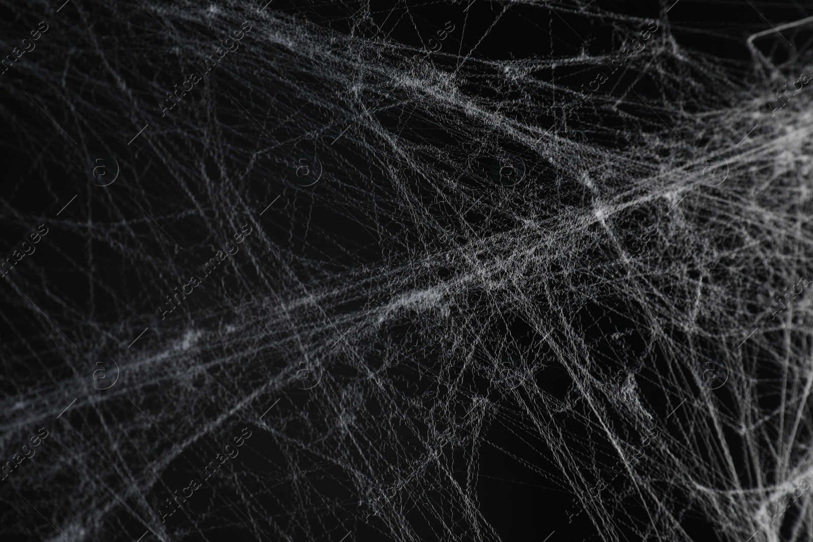 Photo of Creepy white cobweb on black background, closeup