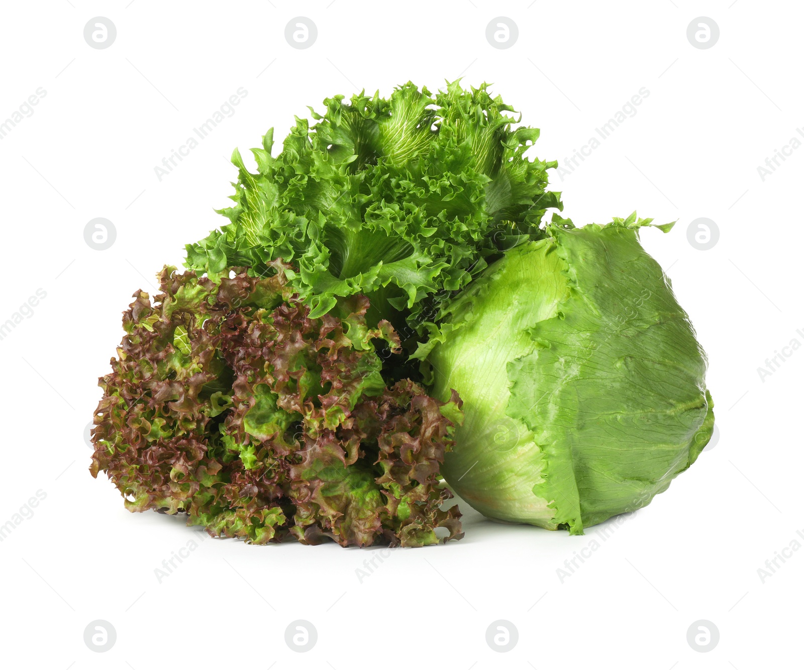 Photo of Different sorts of lettuce on white background