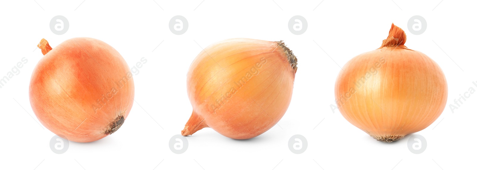 Image of Set of yellow onion bulbs on white background. Banner design