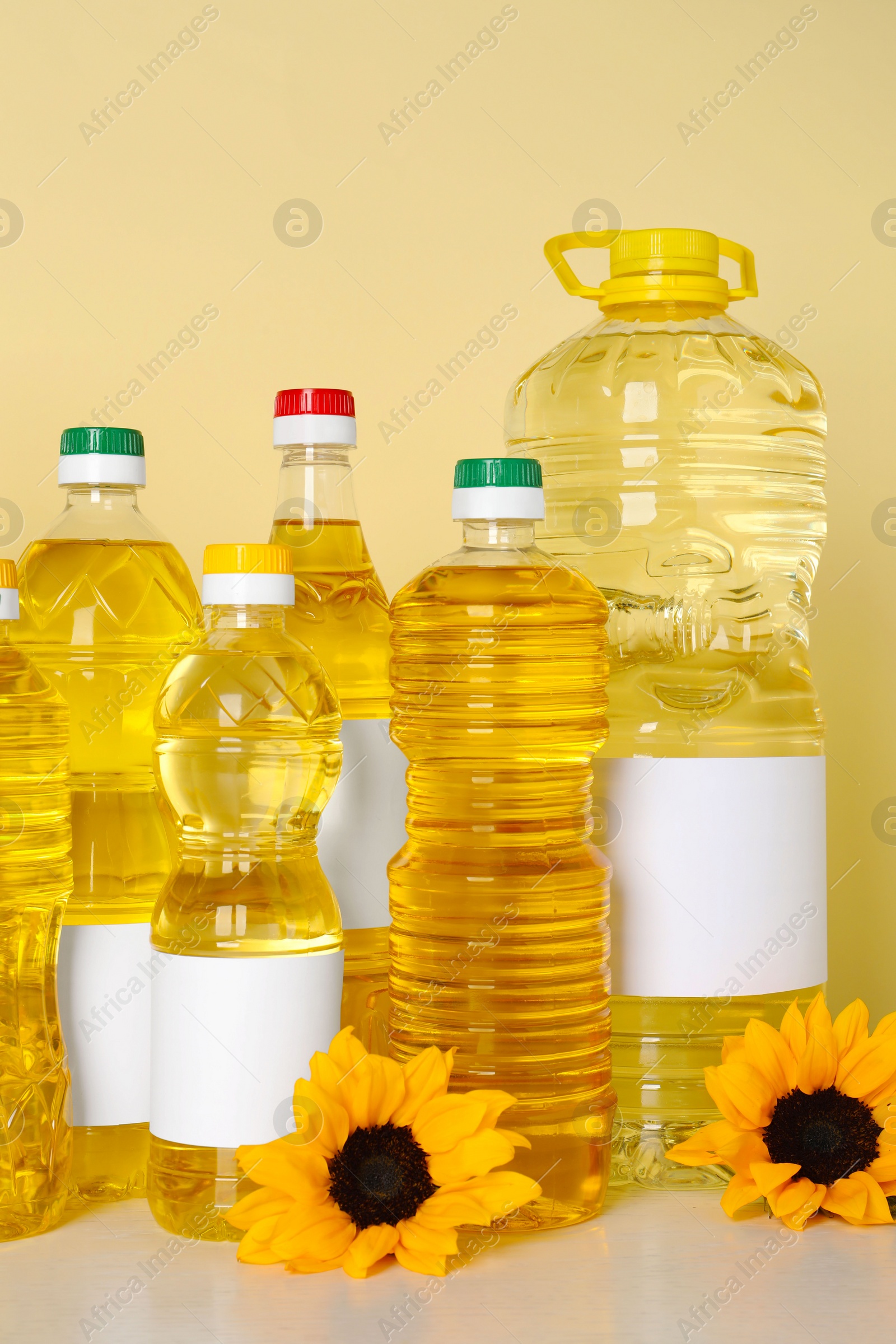 Photo of Bottles of cooking oil and sunflowers on white table