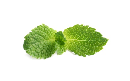 Fresh green mint leaves on white background