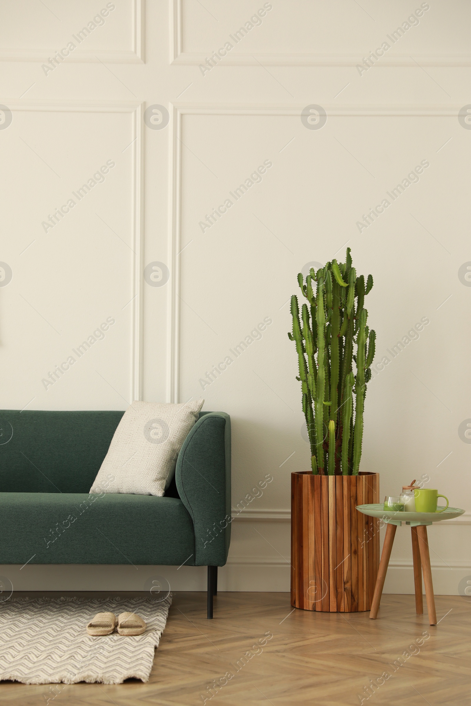 Photo of Stylish living room interior with beautiful potted cactus and modern furniture