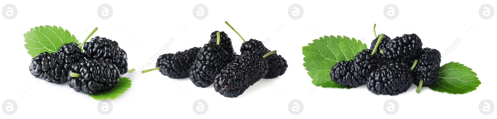 Image of Set with fresh ripe black mulberries on white background. Banner design