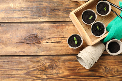 Photo of Young seedlings in peat pots on wooden table, flat lay. Space for text