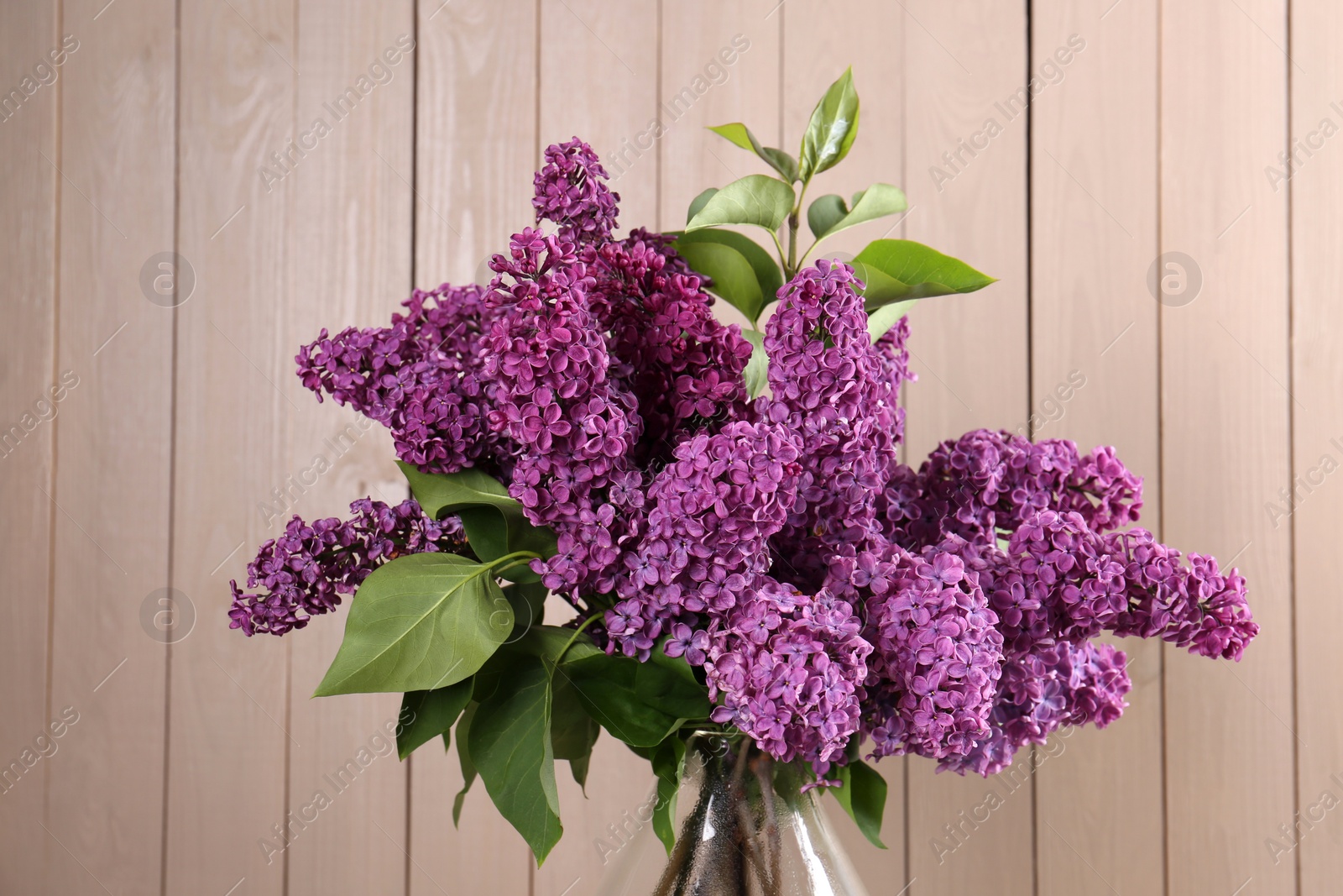 Photo of Beautiful lilac flowers in vase near wooden wall