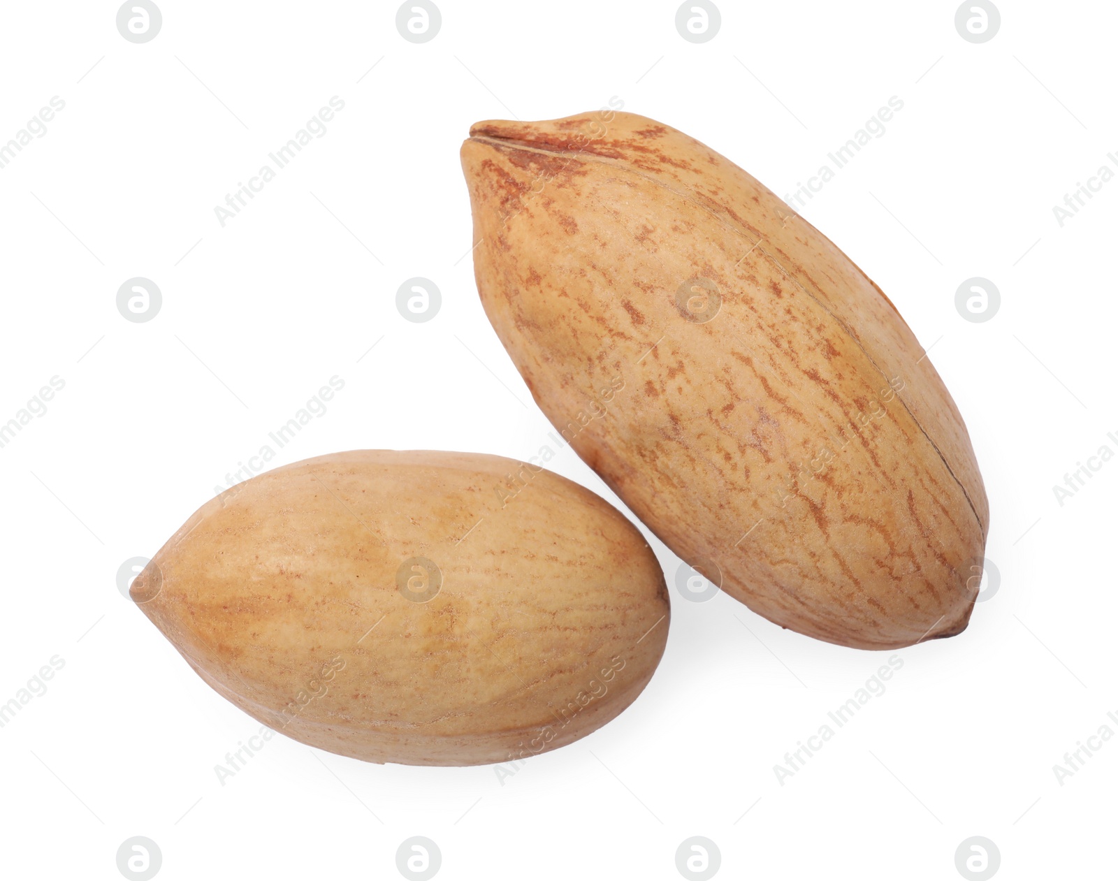 Photo of Tasty pecan nuts in shell isolated on white, top view