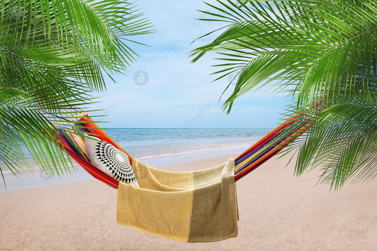 Image of Hammock between palms at sandy beach near sea on sunny day