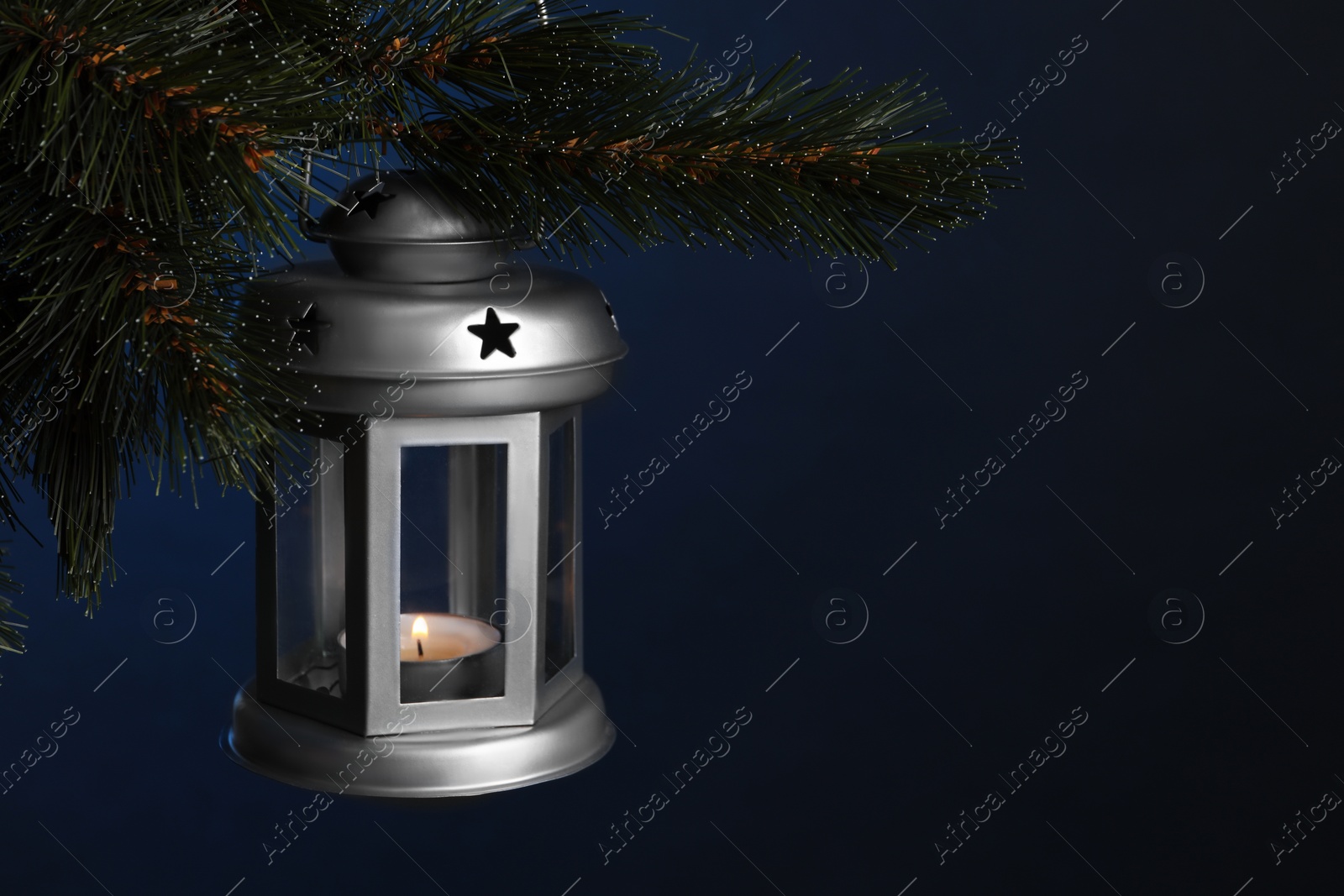 Photo of Christmas lantern with burning candle on fir tree against blue background, closeup. Space for text