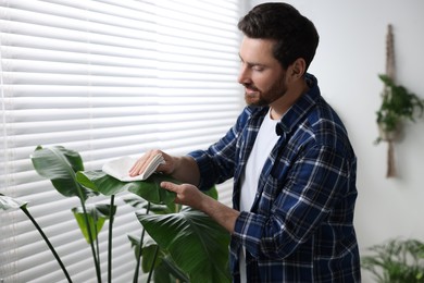 Photo of Man wiping leaves of beautiful potted houseplants with cloth indoors