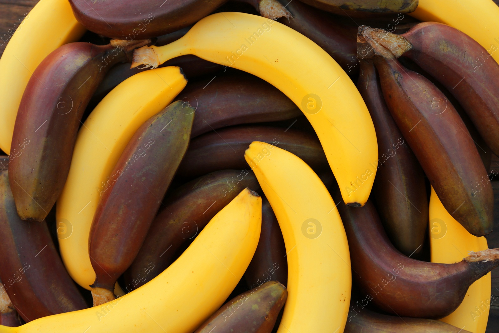 Photo of Different types of bananas as background, top view