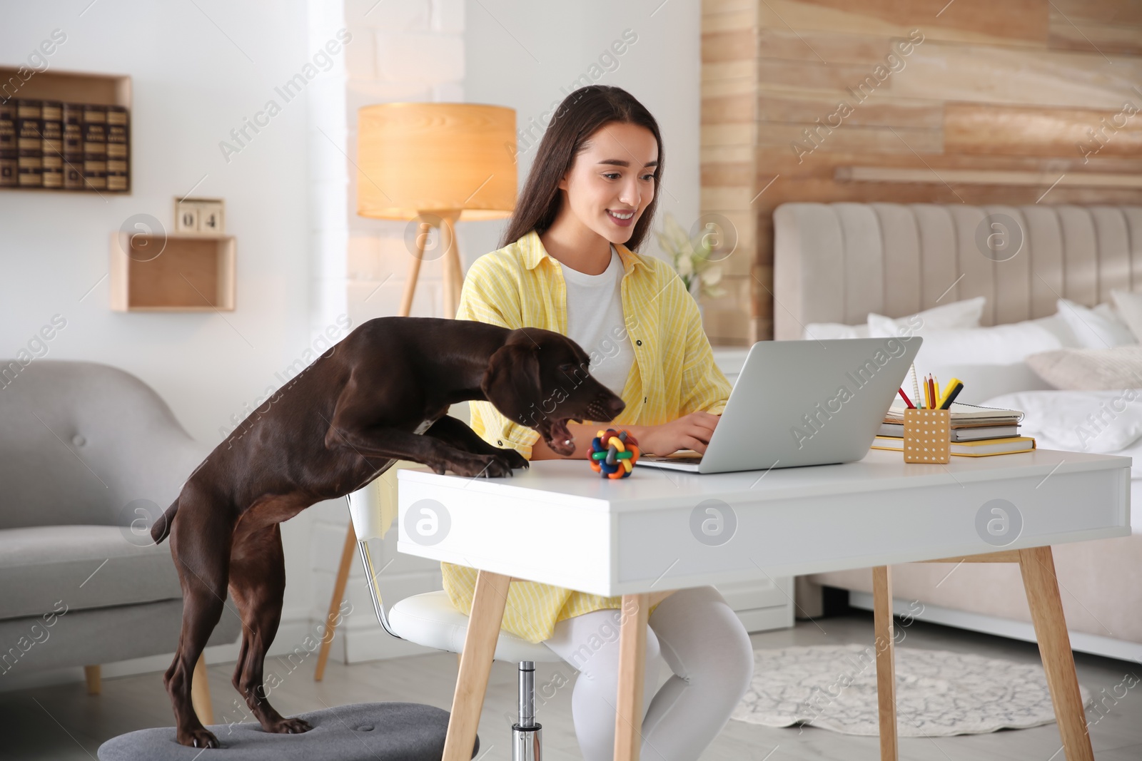 Photo of Young woman working on laptop near her playful dog in home office