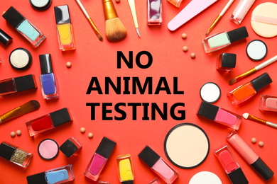 Image of Cosmetic products and text NO ANIMAL TESTING on orange background, flat lay